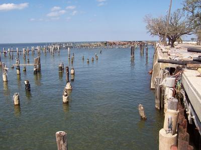 Katrina29.jpg
