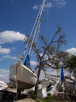 Katrina45.jpg