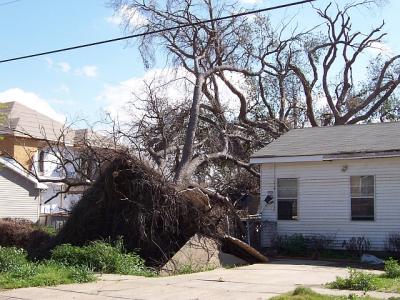 Katrina59.jpg