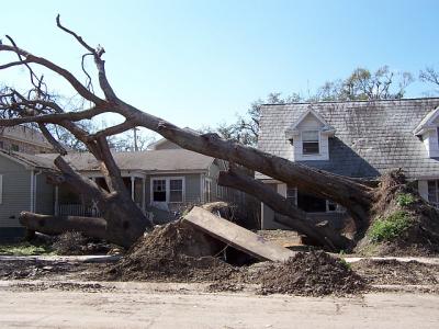 Katrina61.jpg
