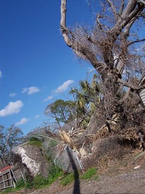 Katrina63.jpg