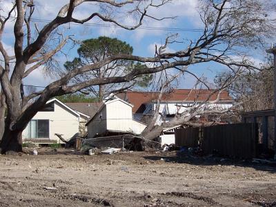 Katrina82.jpg