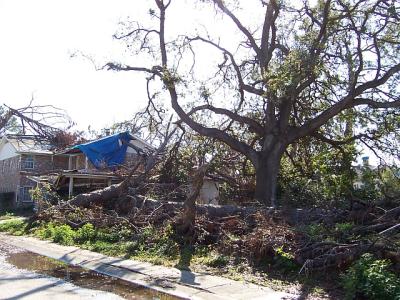 Katrina91.jpg