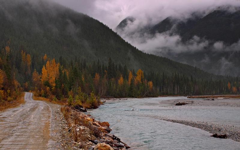 Blaeberry River Road
