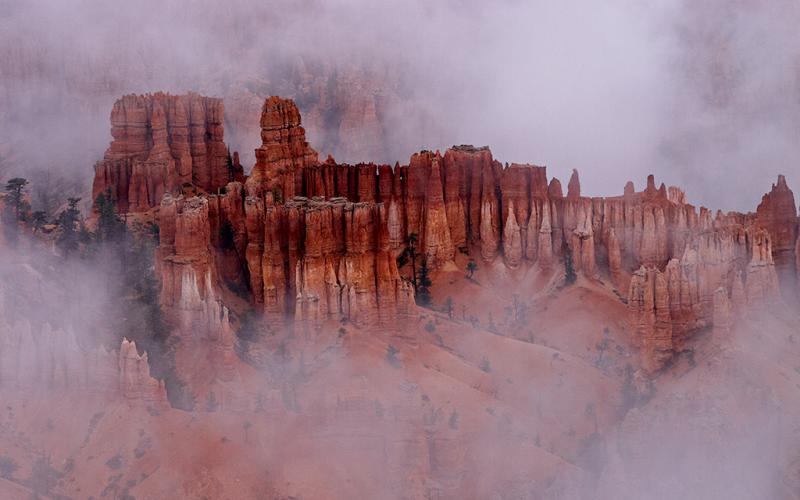Misty Morning in Bryce