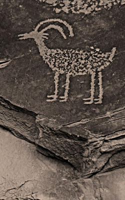 Antelope Petroglyph II