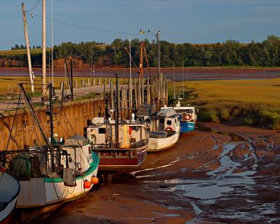 Bay of Fundy at Low Tide