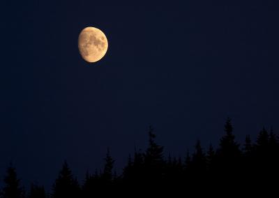 Moonrise Over Cape Breton Island