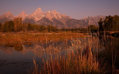 Tetons with River Reeds