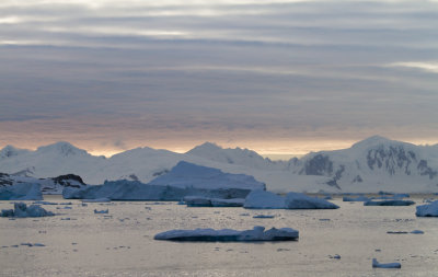Antarctica Icebergs.jpg
