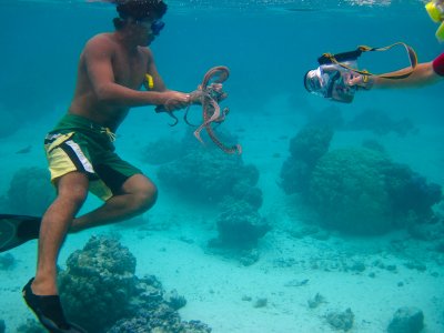 Guide with Octopus