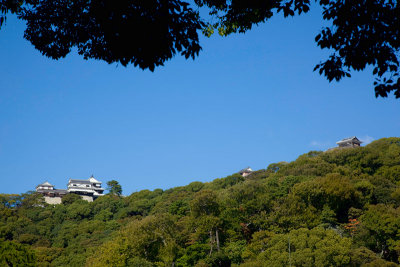 Shikoko-0230.jpg