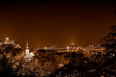 BudapestNight1234BWSM.jpg