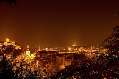 BudapestNight1234SM.jpg