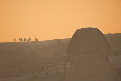 Sphinx1624SM.jpg