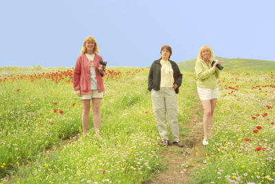 Delfoi457Poppies.jpg