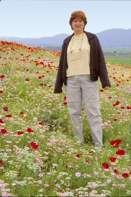 Delphi223PoppyField.jpg