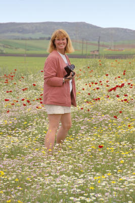 Delphi225PoppyField.jpg
