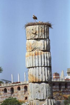 Ephesus001.jpg
