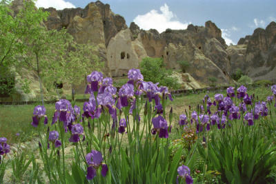 FairyCastle194.jpg