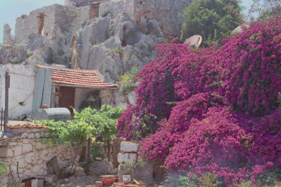 Village214.jpg