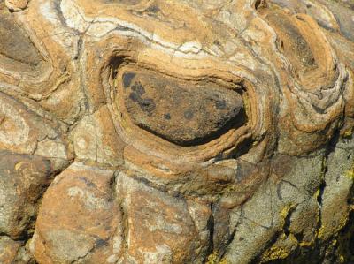 Underfoot 4.jpg