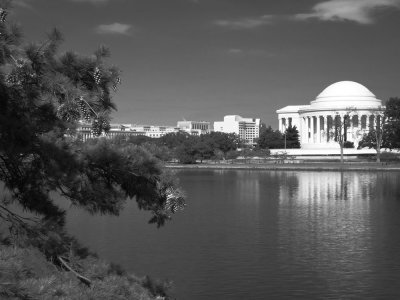 Jefferson Memorial I