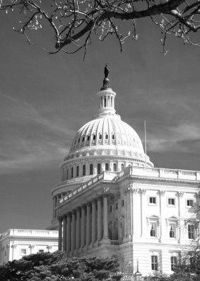 US Capitol II