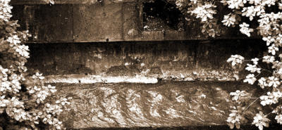 g3/77/326177/3/56167818.000041adjspia.jpg
