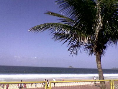 Praia e palmeira - Celular