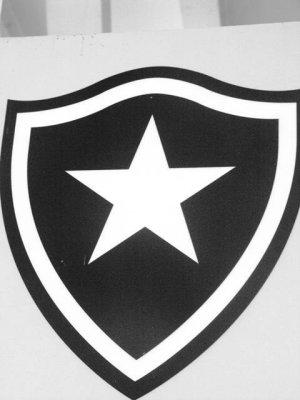 Botafogo Futebol e Regatas