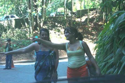 IMG 229.jpg