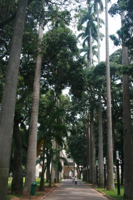 IMG 086.jpg