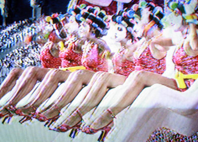 Carnaval 2008 - Desfile da Viradouro na TV 020.JPG