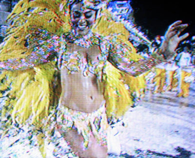 Carnaval 2008 - Desfile da Viradouro na TV 046.JPG