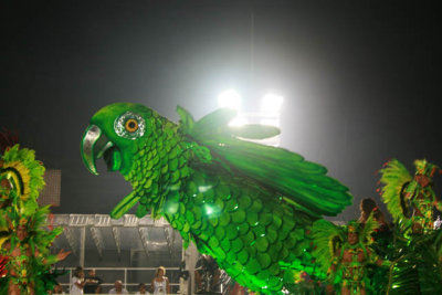 DSC-2008 704.JPG