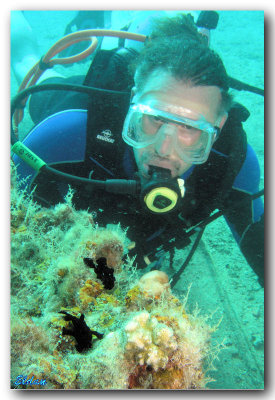 Red sea - Eilat (April_2008)