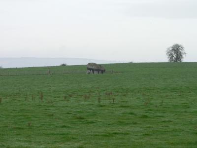 P1020273.JPG
