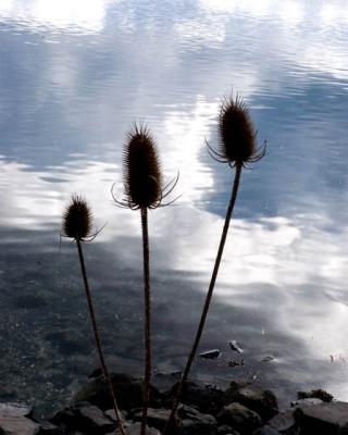 Three