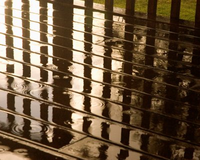 Raindrops And Reflections
