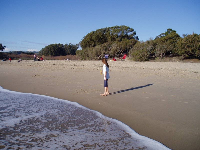 Natural Bridges State Beach