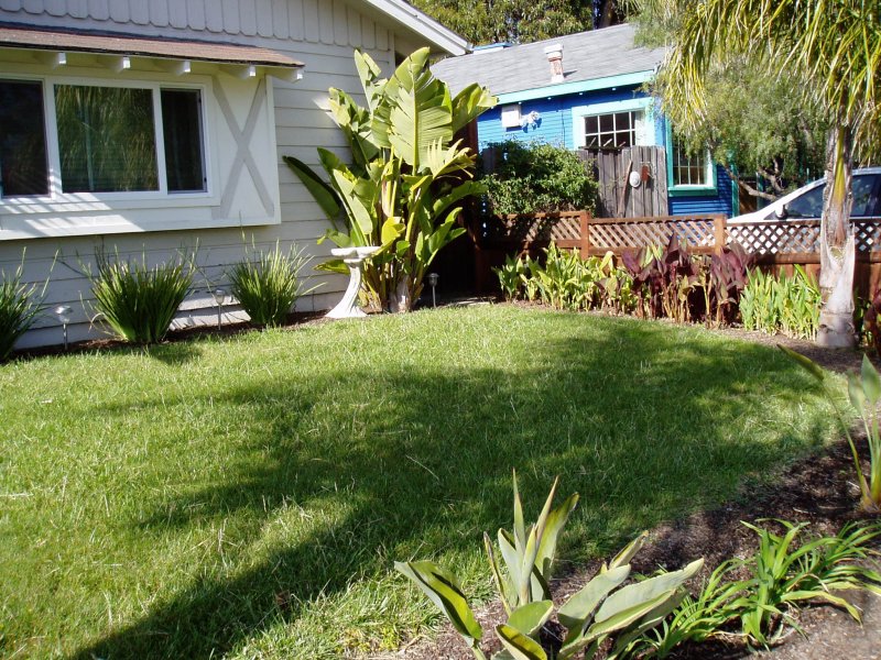 Front Yard