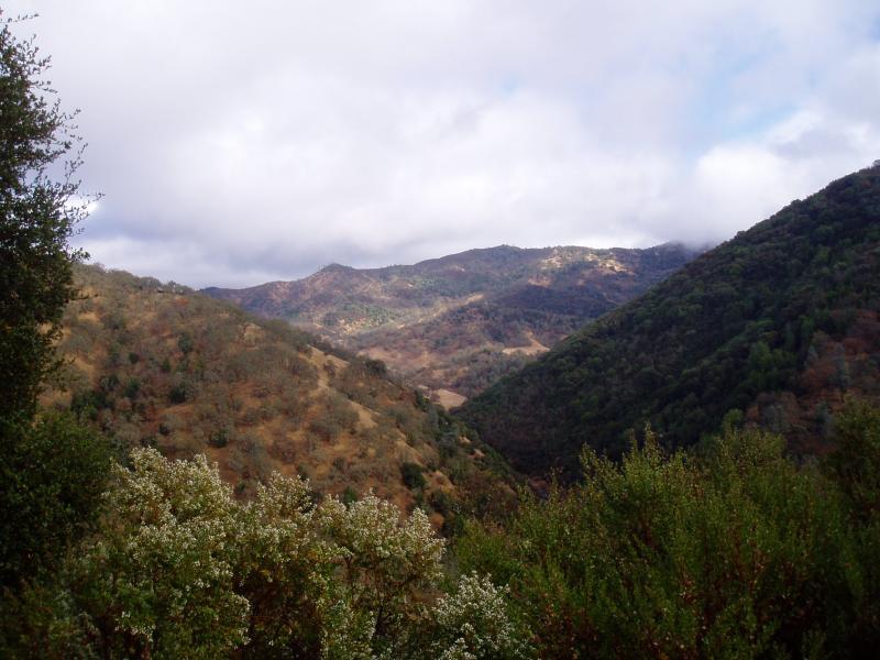 Looking back at Willow Ridge