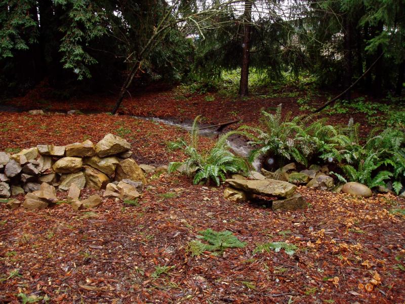 creek flowing in side yard