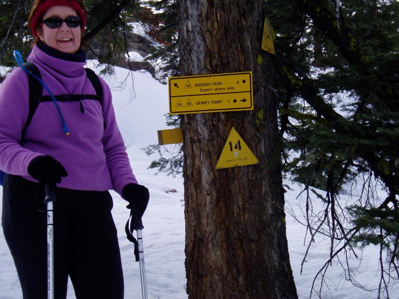 Experts only sign