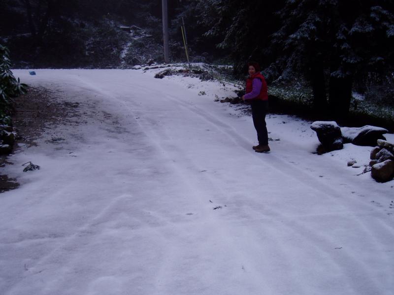 Driveway