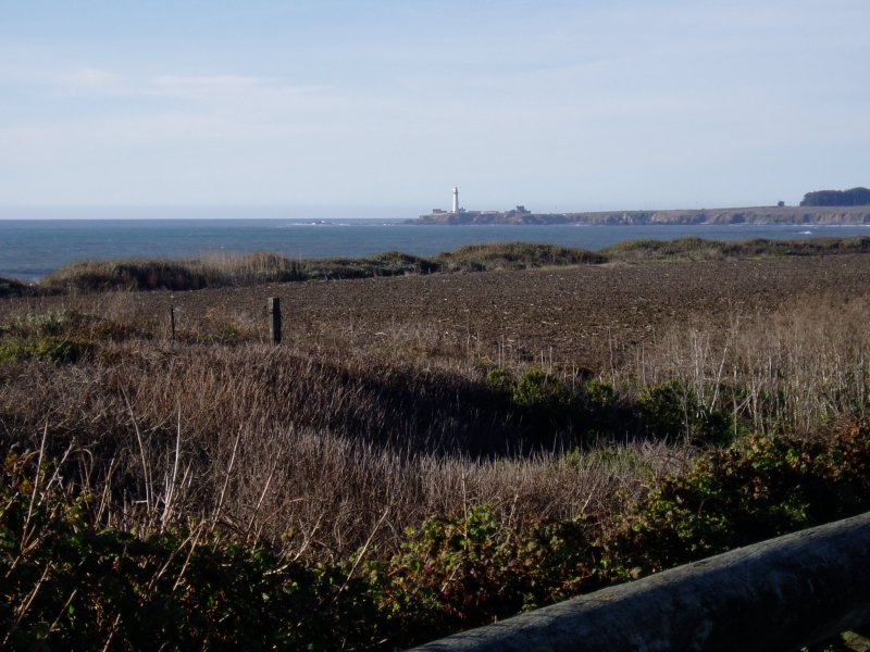Looking north to Pigeon Point, Pescadaro CA