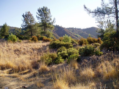 P1010232.JPG