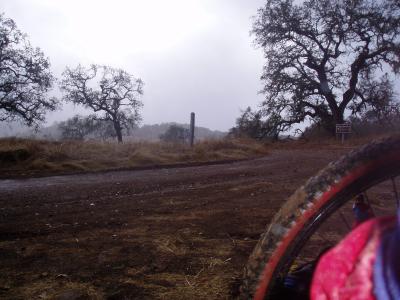 View: muddy tire.