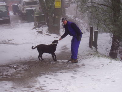 Playing with neighborhood dog in snow